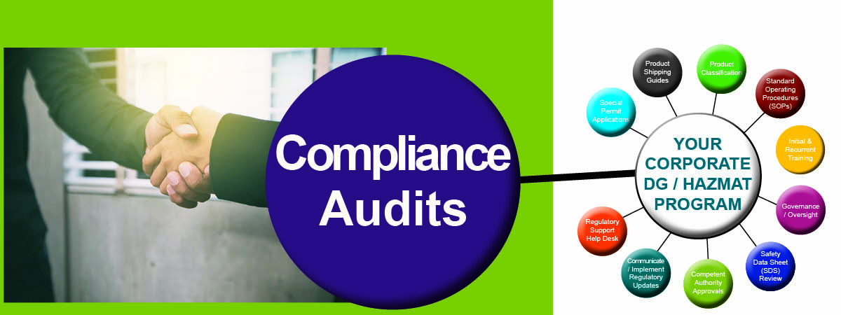 Virtual Compliance Audit
